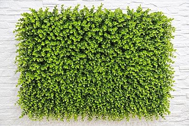 《JOJO群星之战R》四代目JOJO东方仗助预告